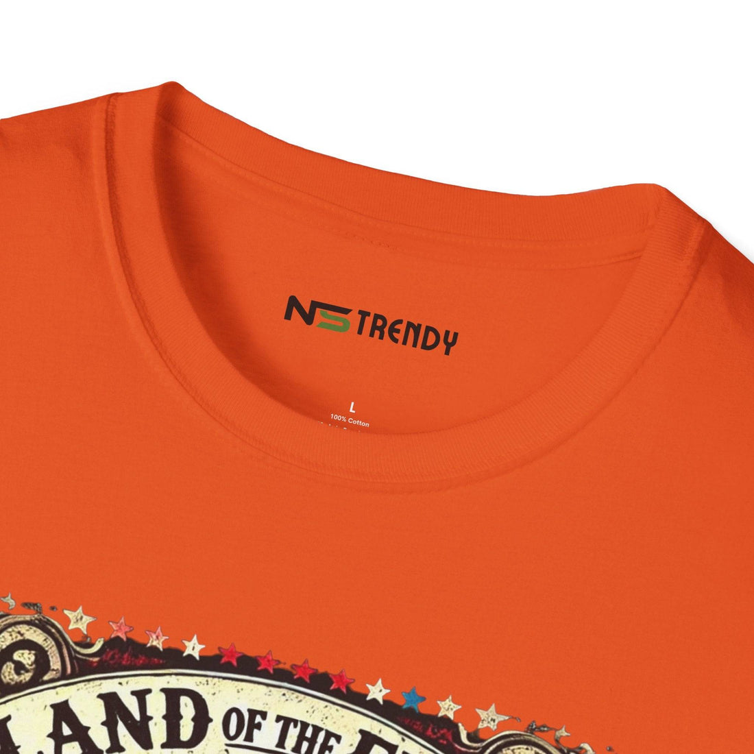 Patriotic Eagle Tee | Freedom & Pride us - NS - Trendy